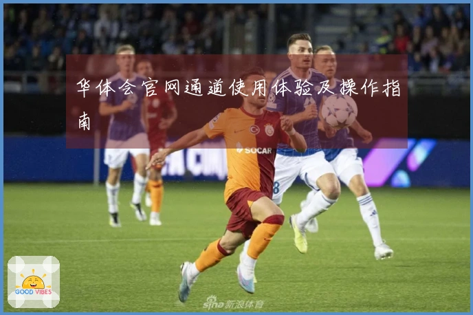 华体会官网通道使用体验及操作指南